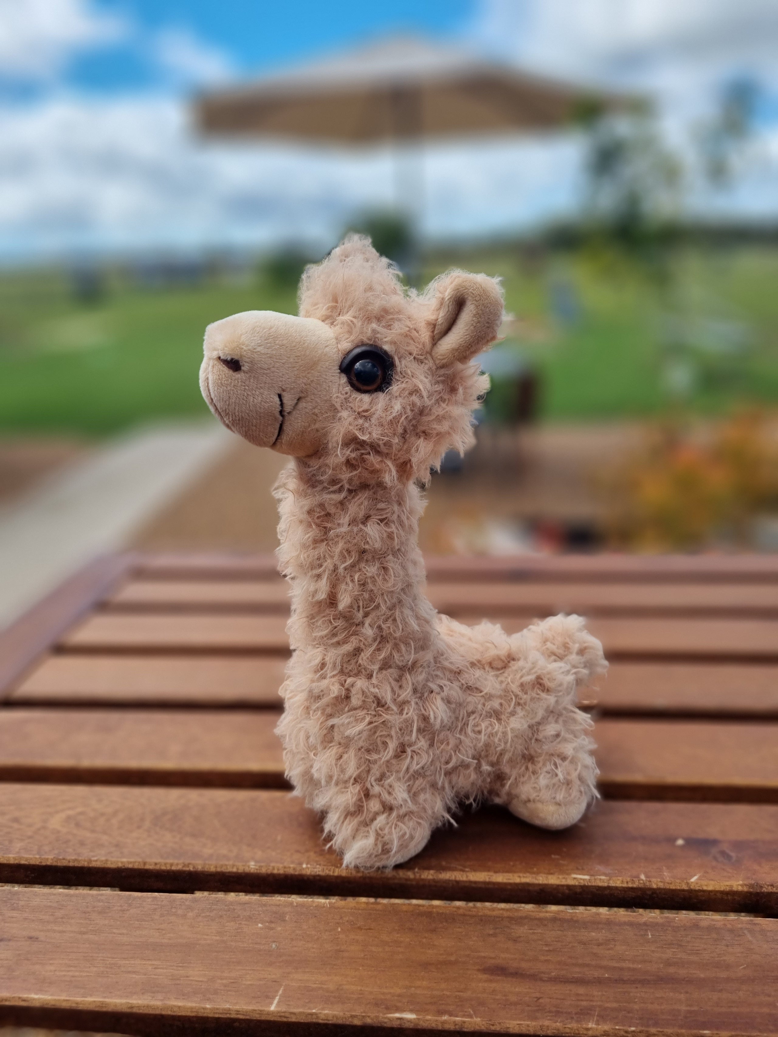 Little Alpaca Plush Quentin Park Alpacas Studio Gallery