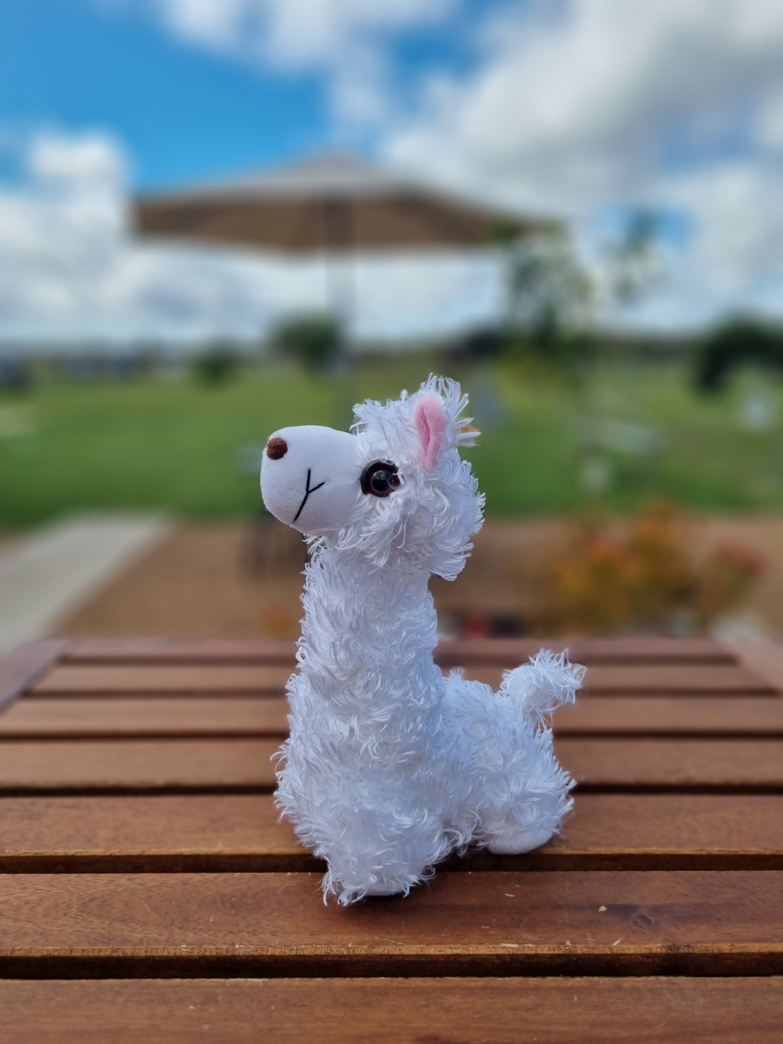 Cute alpaca store plush